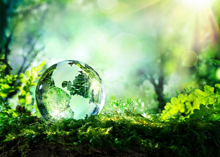 Read more about the article Socially Conscious Companies