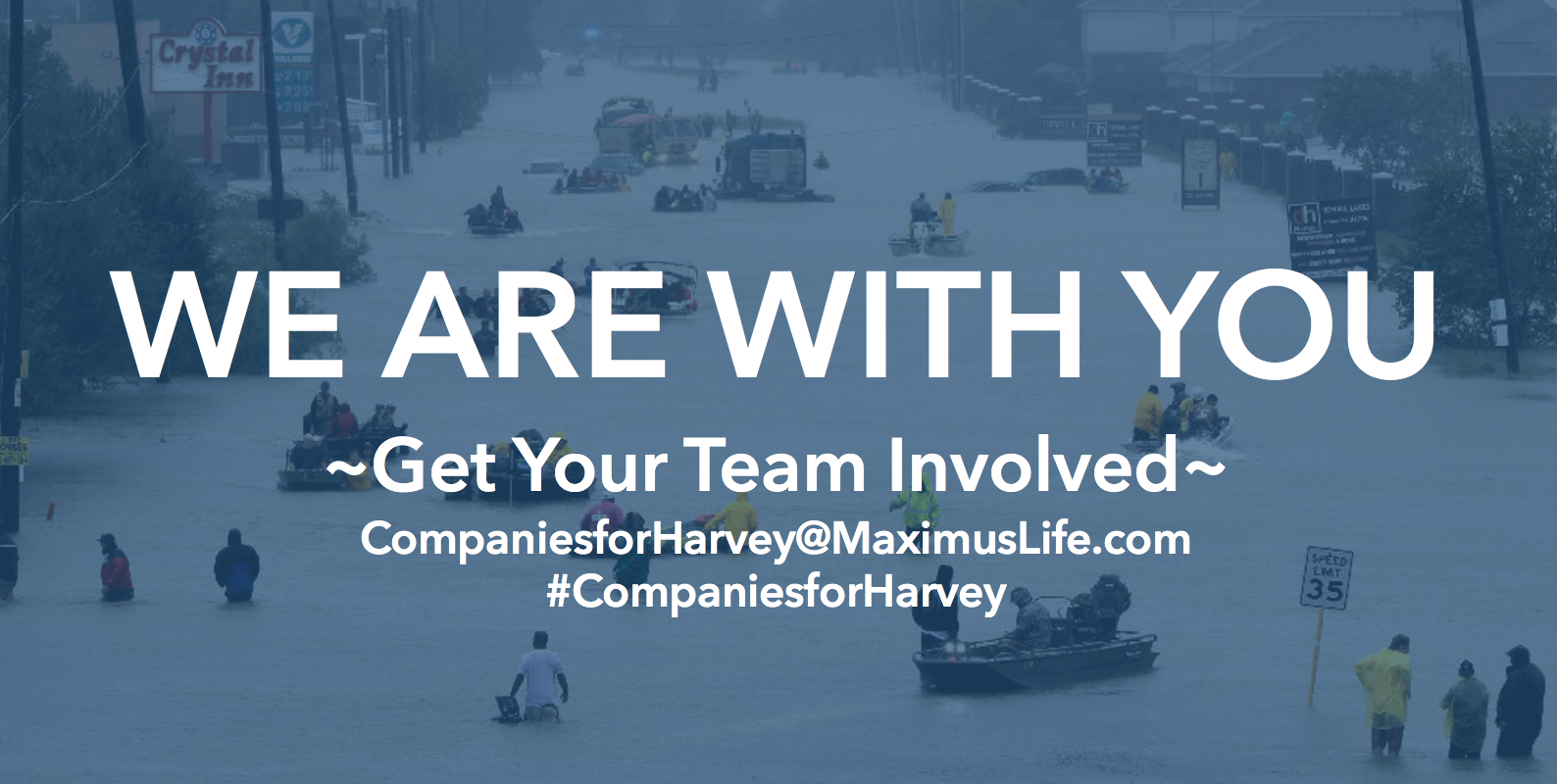 Read more about the article Companies for Harvey – Get Involved