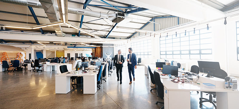 Read more about the article Amplify Your Workplace Wellness