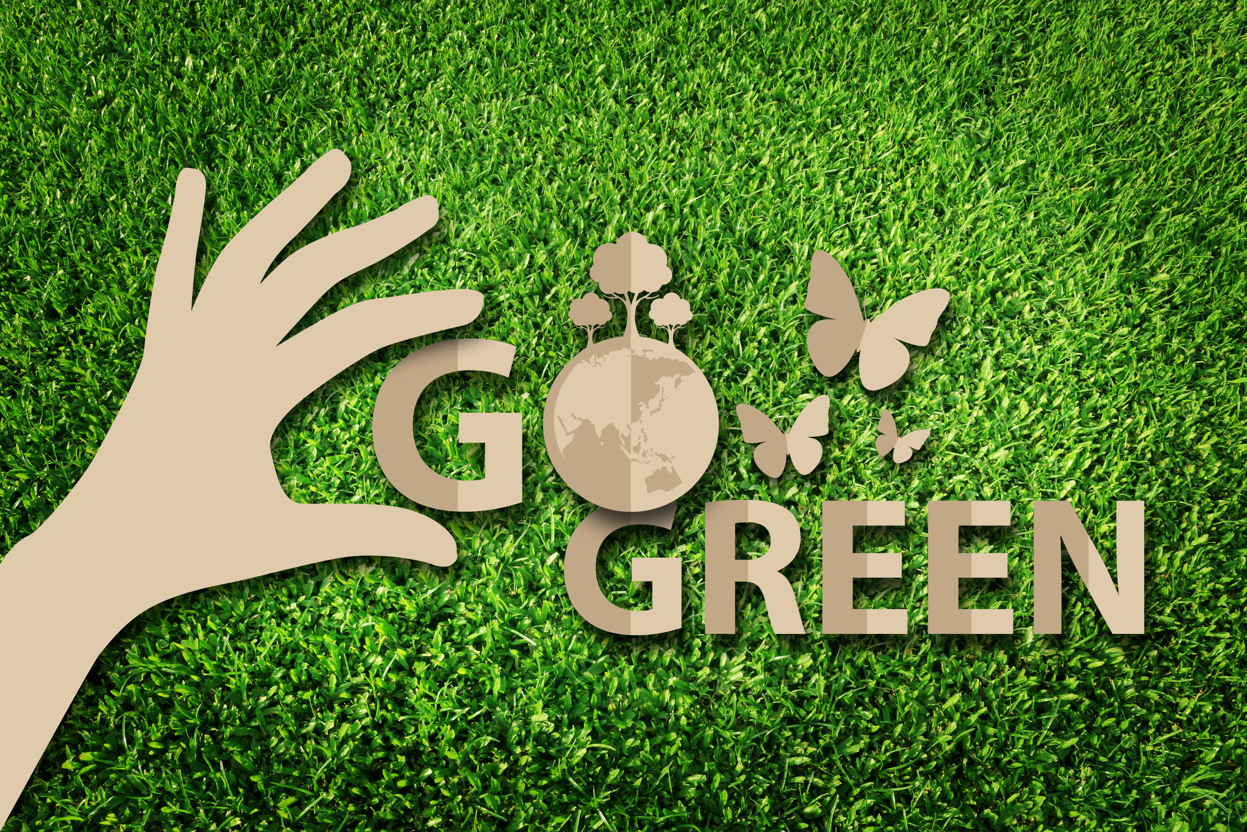 Read more about the article How To Set Up A Green Challenge For Your Company