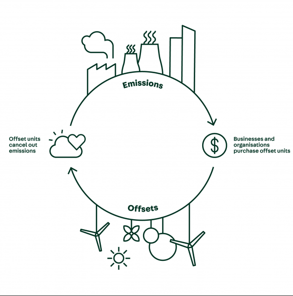 Read more about the article How Carbon Offsetting Works