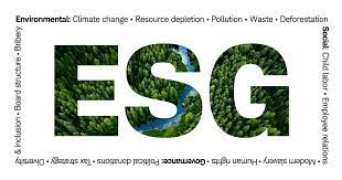 Read more about the article S in ESG and the H in ESHG