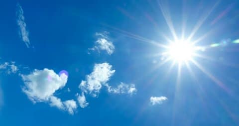 Read more about the article Summer Ideas for You to Go Green